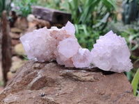 Natural Amethyst Spirit Quartz Clusters x 6 From Boekenhouthoek, South Africa - Toprock Gemstones and Minerals
