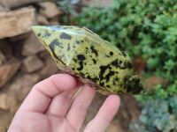 Polished Double Terminated Leopard Stone Points x 3 From Zimbabwe - Toprock Gemstones and Minerals