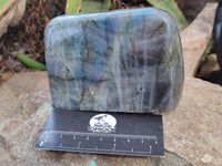 Polished Labradorite Standing Free Forms x 2 From Tulear, Madagascar - Toprock Gemstones and Minerals