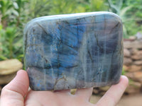 Polished Labradorite Standing Free Forms x 2 From Tulear, Madagascar - Toprock Gemstones and Minerals