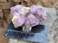 Natural Amethyst Spirit Quartz Clusters x 6 From Boekenhouthoek, South Africa - Toprock Gemstones and Minerals