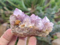 Natural Amethyst Spirit Quartz Clusters x 6 From Boekenhouthoek, South Africa - Toprock Gemstones and Minerals