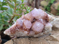 Natural Amethyst Spirit Quartz Clusters x 6 From Boekenhouthoek, South Africa - Toprock Gemstones and Minerals