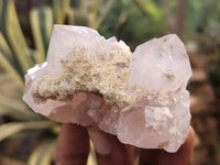 Natural Amethyst Spirit Quartz Clusters x 6 From Boekenhouthoek, South Africa - Toprock Gemstones and Minerals