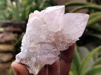 Natural Amethyst Spirit Quartz Clusters x 6 From Boekenhouthoek, South Africa - Toprock Gemstones and Minerals