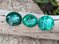 Hand Made Round Flower Banded Malachite Cabochons - Sold Per Item - From Congo - Toprock Gemstones and Minerals