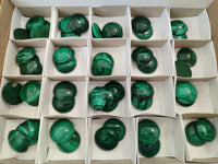 Hand Made Round Flower Banded Malachite Cabochons - Sold Per Item - From Congo - Toprock Gemstones and Minerals