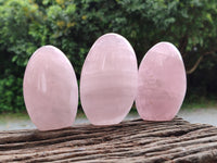 Polished Rose Quartz Standing Free Forms x 6 From Madagascar - Toprock Gemstones and Minerals