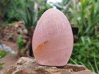 Polished Rose Quartz Standing Free Forms x 6 From Madagascar - Toprock Gemstones and Minerals