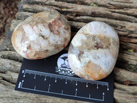 Polished Flower Agate Palm Stones x 12 From Madagascar - Toprock Gemstones and Minerals