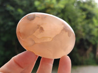 Polished Flower Agate Palm Stones x 12 From Madagascar - Toprock Gemstones and Minerals