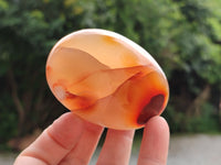 Polished Flower Agate Palm Stones x 12 From Madagascar - Toprock Gemstones and Minerals