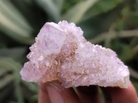 Natural Ametrine Spirit Quartz Clusters x 21 From Boekenhouthoek, South Africa - Toprock Gemstones and Minerals