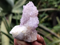Natural Ametrine Spirit Quartz Clusters x 21 From Boekenhouthoek, South Africa - Toprock Gemstones and Minerals