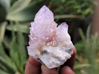 Natural Ametrine Spirit Quartz Clusters x 21 From Boekenhouthoek, South Africa - Toprock Gemstones and Minerals