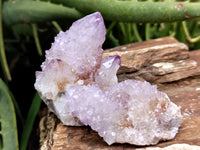 Natural Ametrine Spirit Quartz Clusters x 21 From Boekenhouthoek, South Africa - Toprock Gemstones and Minerals