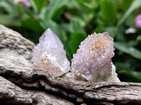 Natural Ametrine Spirit Quartz Clusters x 21 From Boekenhouthoek, South Africa - Toprock Gemstones and Minerals