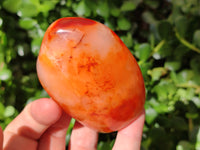 Polished Carnelian Standing Free Forms x 6 From Madagascar - Toprock Gemstones and Minerals