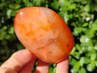 Polished Carnelian Standing Free Forms x 6 From Madagascar - Toprock Gemstones and Minerals