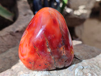 Polished Carnelian Standing Free Forms x 6 From Madagascar - Toprock Gemstones and Minerals