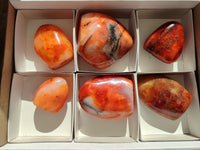 Polished Carnelian Standing Free Forms x 6 From Madagascar - Toprock Gemstones and Minerals