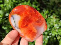 Polished Carnelian Standing Free Forms x 6 From Madagascar - Toprock Gemstones and Minerals