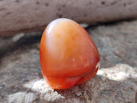 Polished Carnelian Standing Free Forms x 6 From Madagascar - Toprock Gemstones and Minerals