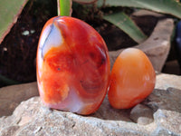 Polished Carnelian Standing Free Forms x 6 From Madagascar - Toprock Gemstones and Minerals