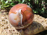 Polished Polychrome Jasper Spheres x 2 From Mahajanga, Madagascar - Toprock Gemstones and Minerals