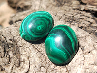 Hand Made Flower Banded Malachite Cabochons - Sold Per Item - From Congo - Toprock Gemstones and Minerals