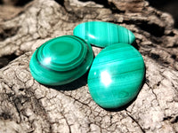 Hand Made Flower Banded Malachite Cabochons - Sold Per Item - From Congo - Toprock Gemstones and Minerals