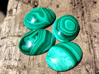Hand Made Flower Banded Malachite Cabochons - Sold Per Item - From Congo - Toprock Gemstones and Minerals
