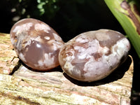 Polished Flower Agate Gallet / Palm Stones x 12 From Madagascar - Toprock Gemstones and Minerals