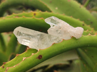 Natural Quartz Crystals x 35 From Mpika, Zambia - Toprock Gemstones and Minerals