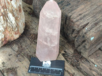 Polished Rose Quartz Points x 2 From Madagascar - Toprock Gemstones and Minerals