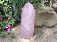 Polished Rose Quartz Points x 2 From Madagascar - Toprock Gemstones and Minerals