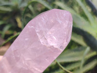 Polished Rose Quartz Points x 2 From Madagascar - Toprock Gemstones and Minerals