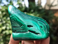 Polished Flower Banded Malachite Free Forms x 12 From Congo - Toprock Gemstones and Minerals