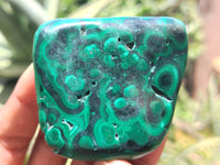 Polished Flower Banded Malachite Free Forms x 12 From Congo - Toprock Gemstones and Minerals