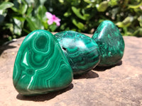 Polished Flower Banded Malachite Free Forms x 12 From Congo - Toprock Gemstones and Minerals