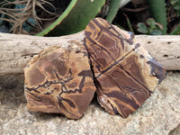 Natural Nguni Jasper Cobbed Specimens x 6 From Prieska, South Africa - Toprock Gemstones and Minerals