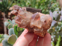 Natural Hematoid Quartz Clusters x 2 From Zambia - Toprock Gemstones and Minerals