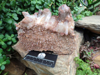 Natural Hematoid Quartz Clusters x 2 From Zambia - Toprock Gemstones and Minerals