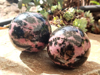 Polished Rhodonite Spheres x 6 From Ambindavato, Madagascar - Toprock Gemstones and Minerals