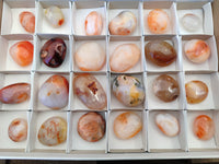 Polished Carnelian Palm Stones x 24 From Madagascar - Toprock Gemstones and Minerals