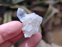 Natural Clear Quartz Crystals x 70 From Mpika, Zambia - Toprock Gemstones and Minerals