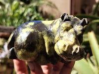 Polished Leopard Stone Hippo Carving x 4 From Zimbabwe - Toprock Gemstones and Minerals