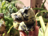 Polished Leopard Stone Hippo Carving x 4 From Zimbabwe - Toprock Gemstones and Minerals
