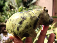 Polished Leopard Stone Hippo Carving x 4 From Zimbabwe - Toprock Gemstones and Minerals