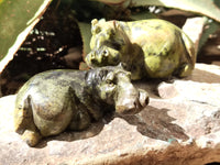 Polished Leopard Stone Hippo Carving x 4 From Zimbabwe - Toprock Gemstones and Minerals